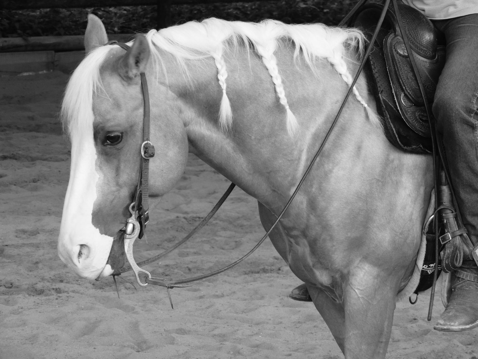 Clevergun, maître d'école