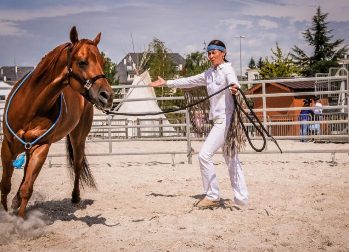 Cours / stage d’équitation western / américaine